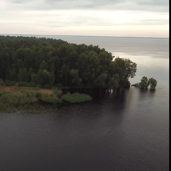 Ділянка 1.7 ГА з виходом в Київське море, Толокунь, ліс, фарватер