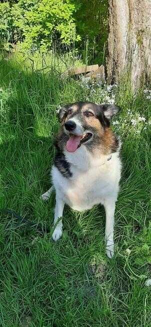 Nerunia szuka miejsca u boku Człowieka, który ją pokocha.