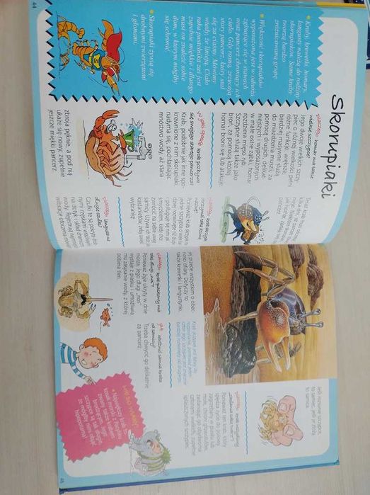 Obrazkowa encyklopedia dla dzieci Morze Odpowiada w jaki sposób