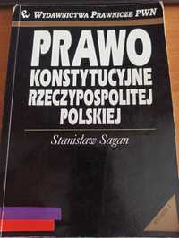 Prawo konstytucyjne RP - S. Sagan