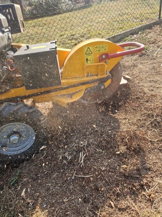 Wycinka drzew, uslugi rębakiem, wycinka tui , frezowanie pni, koszenie