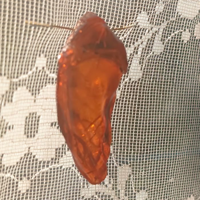 Великий янтарний кулон.