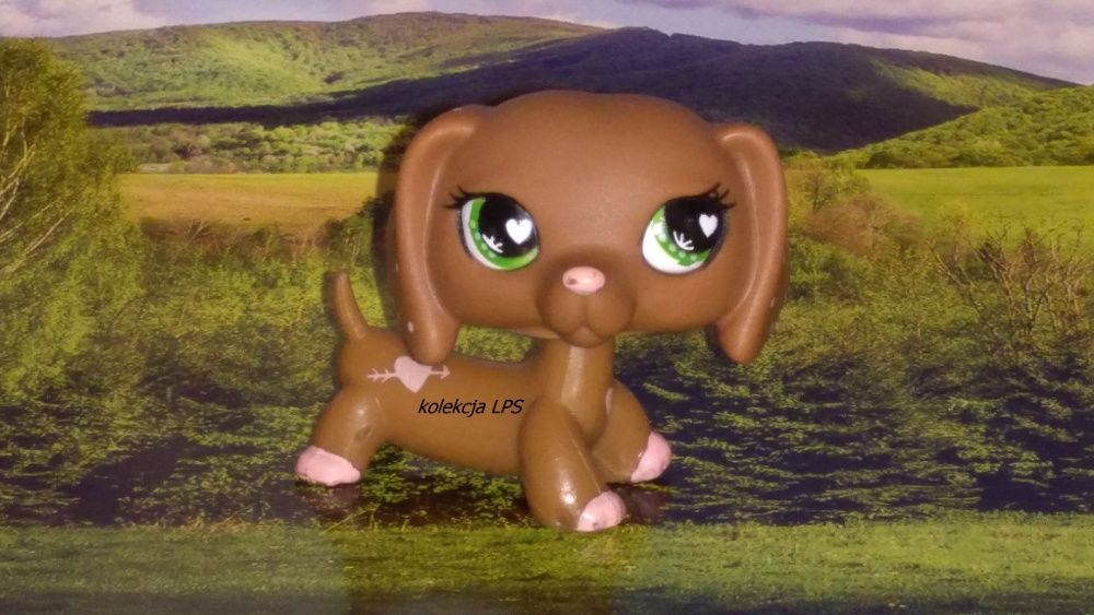 LPS Littlest Pet Shop jamnik #556 walentynkowy oryginalny pop oryginał