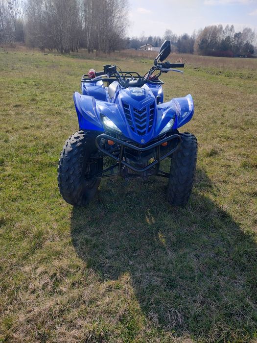 Yamaha Wolverine/Raptor/Grizzly 350
