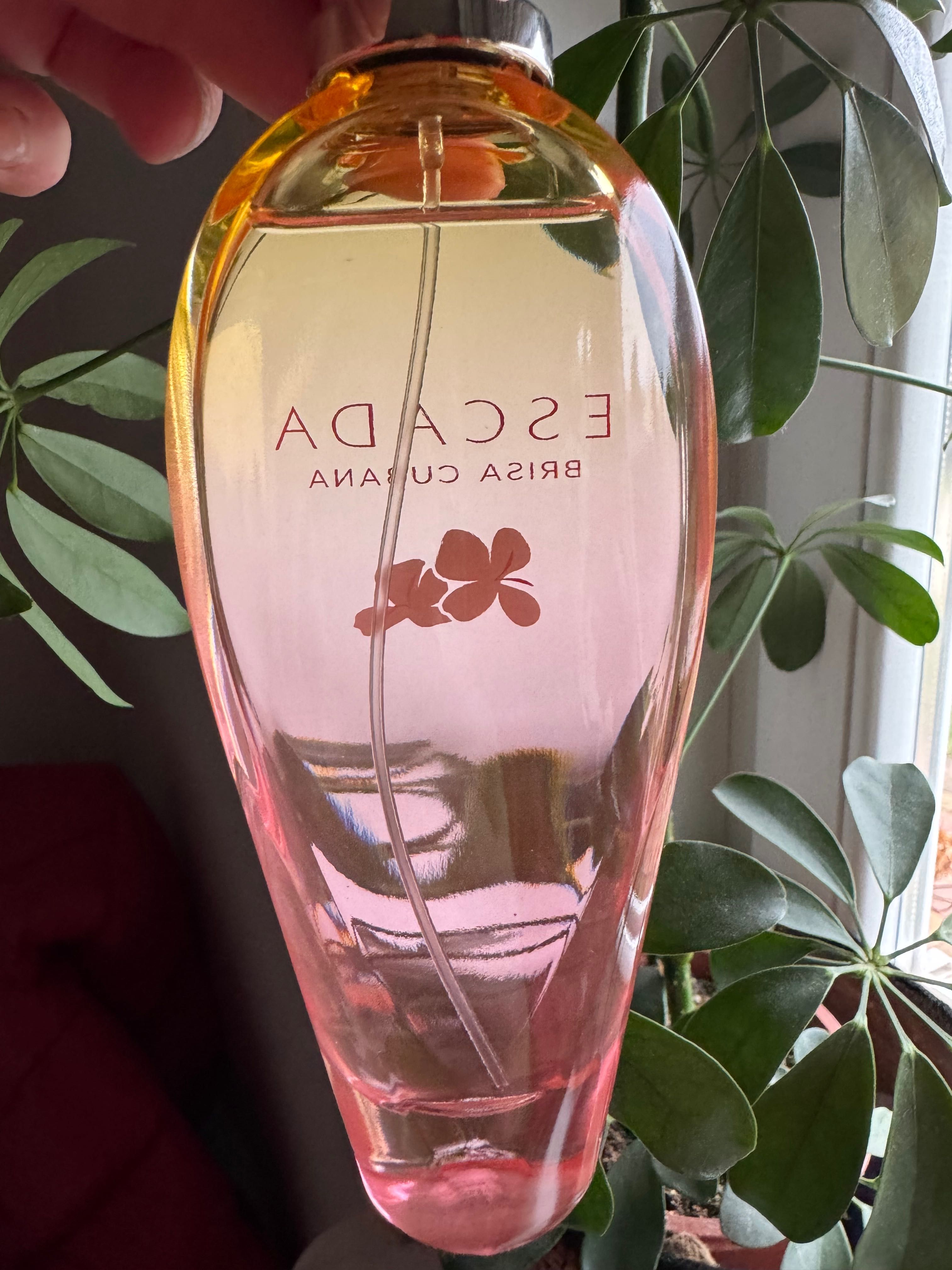 Perfumy Escada nowość