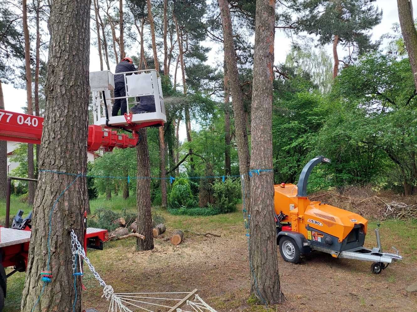 Podnośnik koszowy 22m, Warszawa i okolice//zielonausługa.pl//