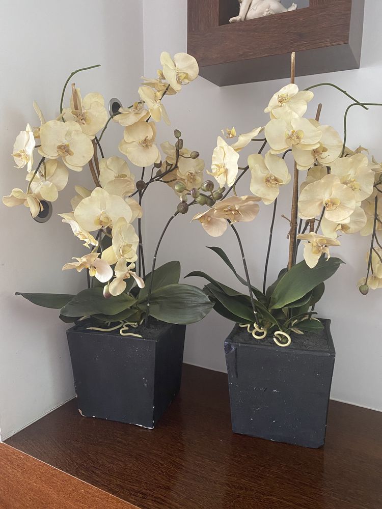 Vasos de orquídeas