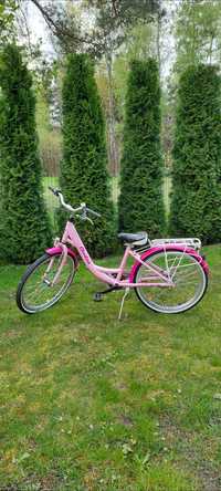Różowy rower olinus