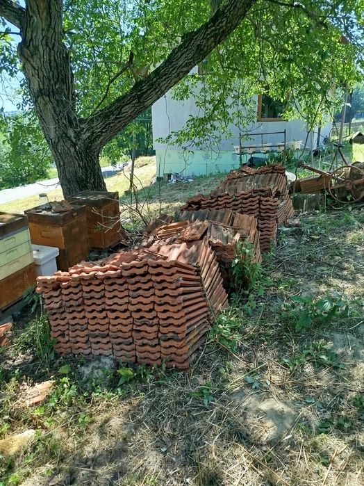 Dachówka Płaszowska i Niepołomicka