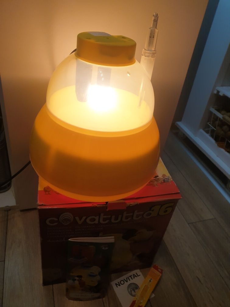 Inkubator do jaj Covatutto 16