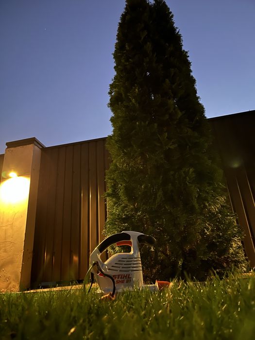 Садівник| Газон | Стрижка хвойних. Обрізка дерев