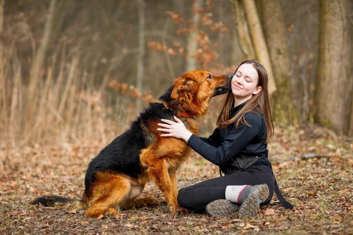 DASTI - 4-letni OWCZAREK niemiecki z krzywą łapą. [FILMIKI]