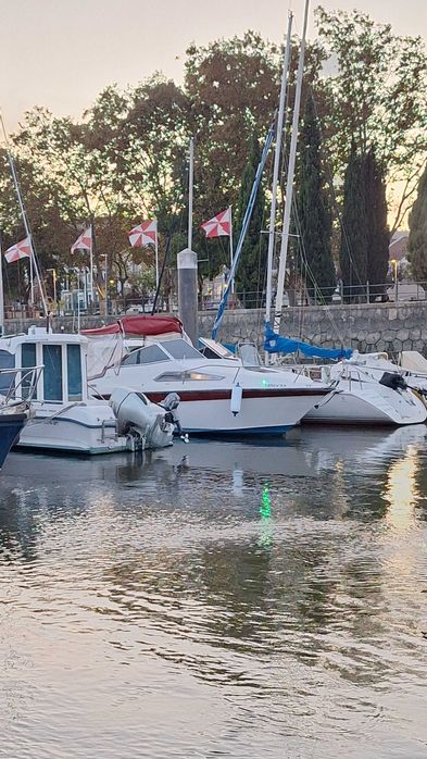 Barco  cabinado sea ray  220 DA