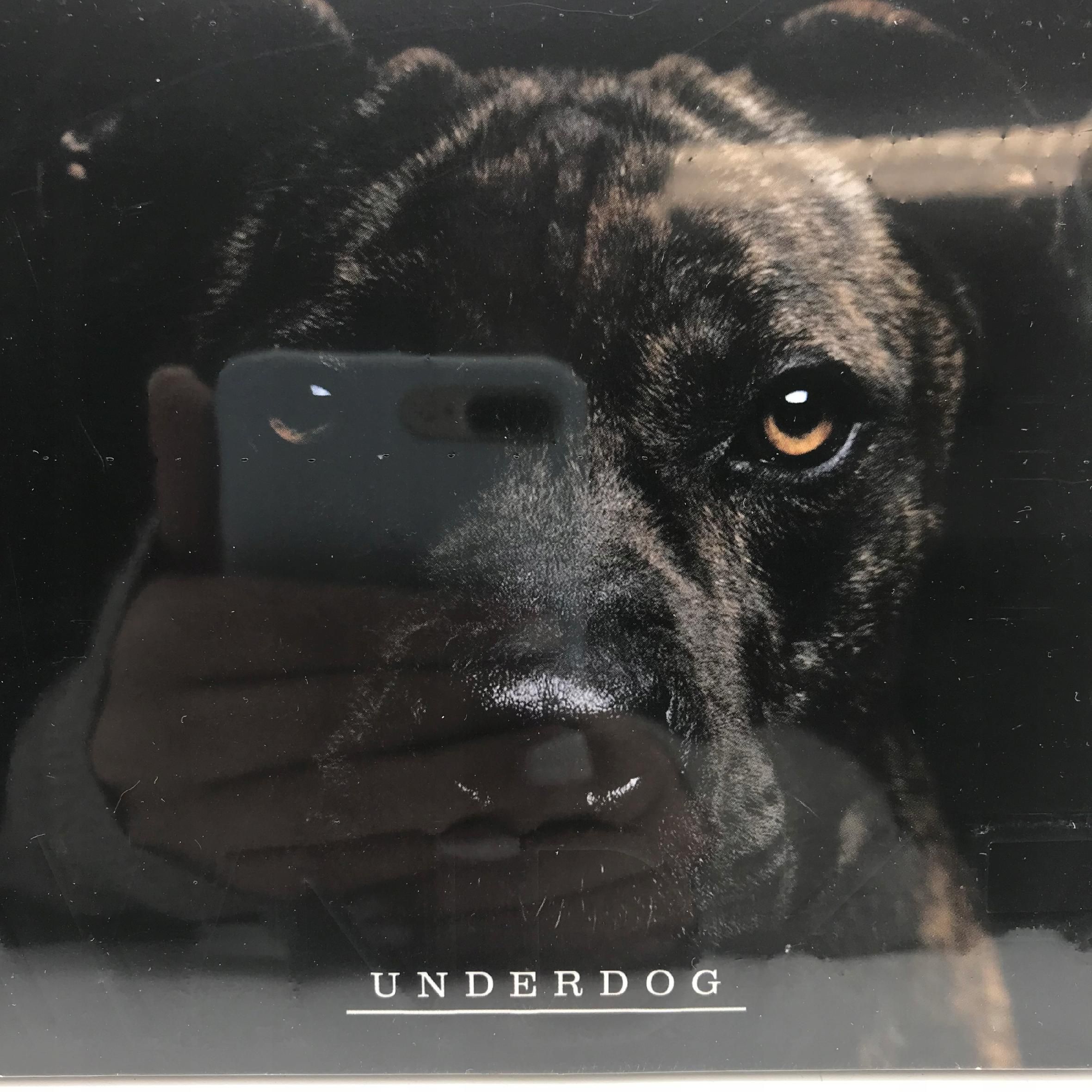 cd - wndkr - underdog