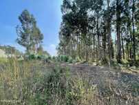 Terreno - Águeda