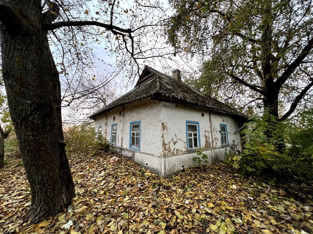 Земельный участок в селе Новая Басань Черниговской области