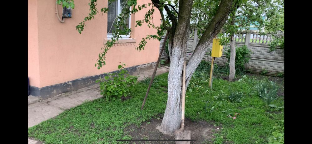 Дом с земельным участком