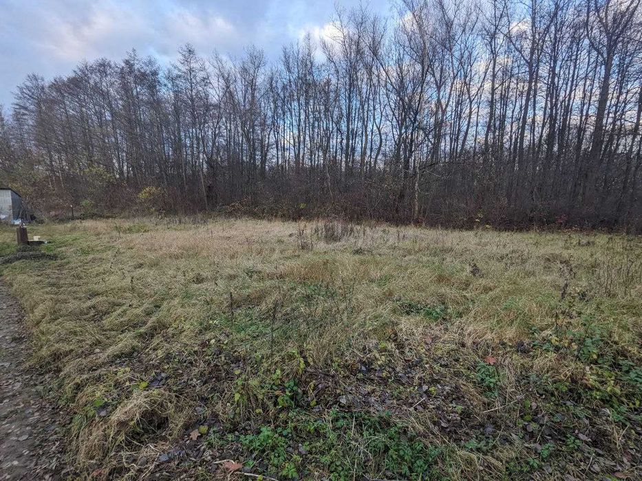 Продається дачна ділянка 10 сот в СТ Діброва (10)