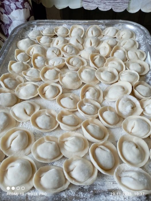 Домашні пільмені