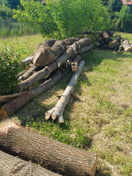 Sprzedam drewno  dąb / bukowe kantówki