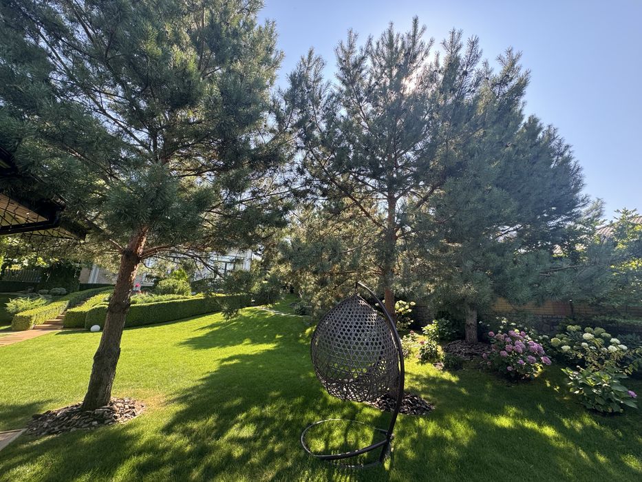 Горенычи, 1 га в центре села