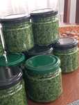 Pesto z czosnku niedźwiedziego z orzechami laskowymi 200 ml