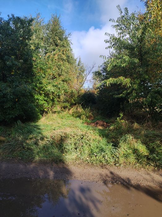 Czyszczenie Działek Zachodniopomorskie