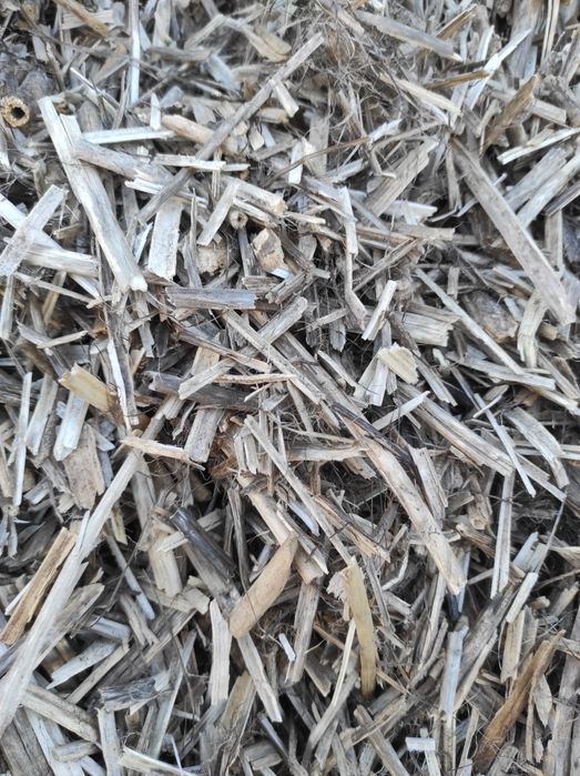 Костра конопель та льону