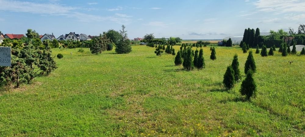 działka budowlana, Pisarzowice
