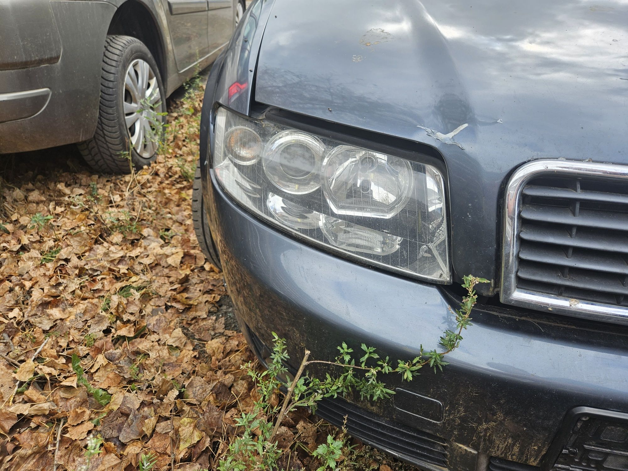 Audi a4 b6 LX7Z zderzak maska blotnik klapa lampa pas 1.9 drzwi
