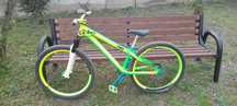 Dirt NS Bikes Decade