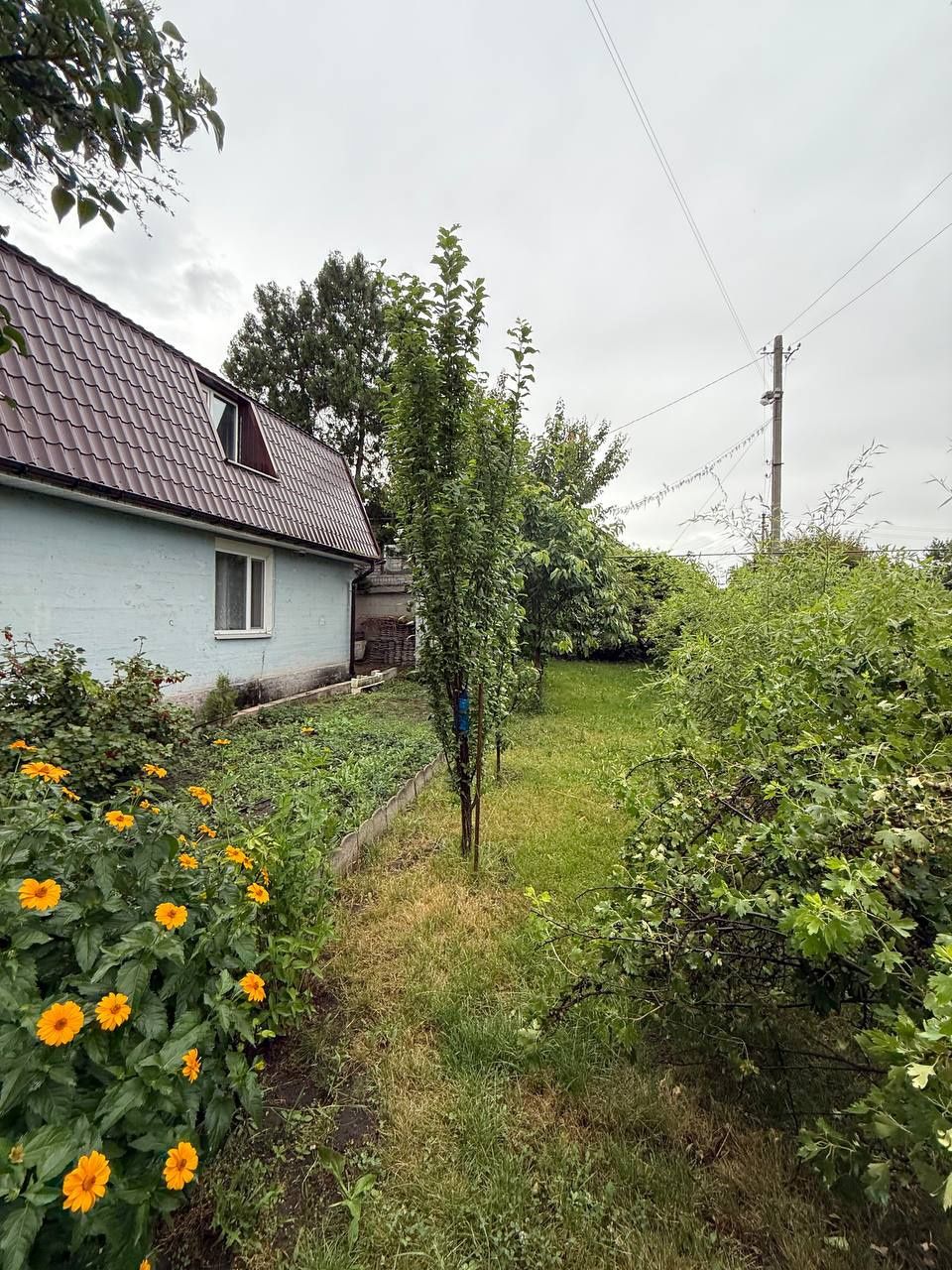 Продам дом Левобережный 3, Караван, возле озера