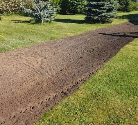 Glebogryzarka seperacyjna Usługi