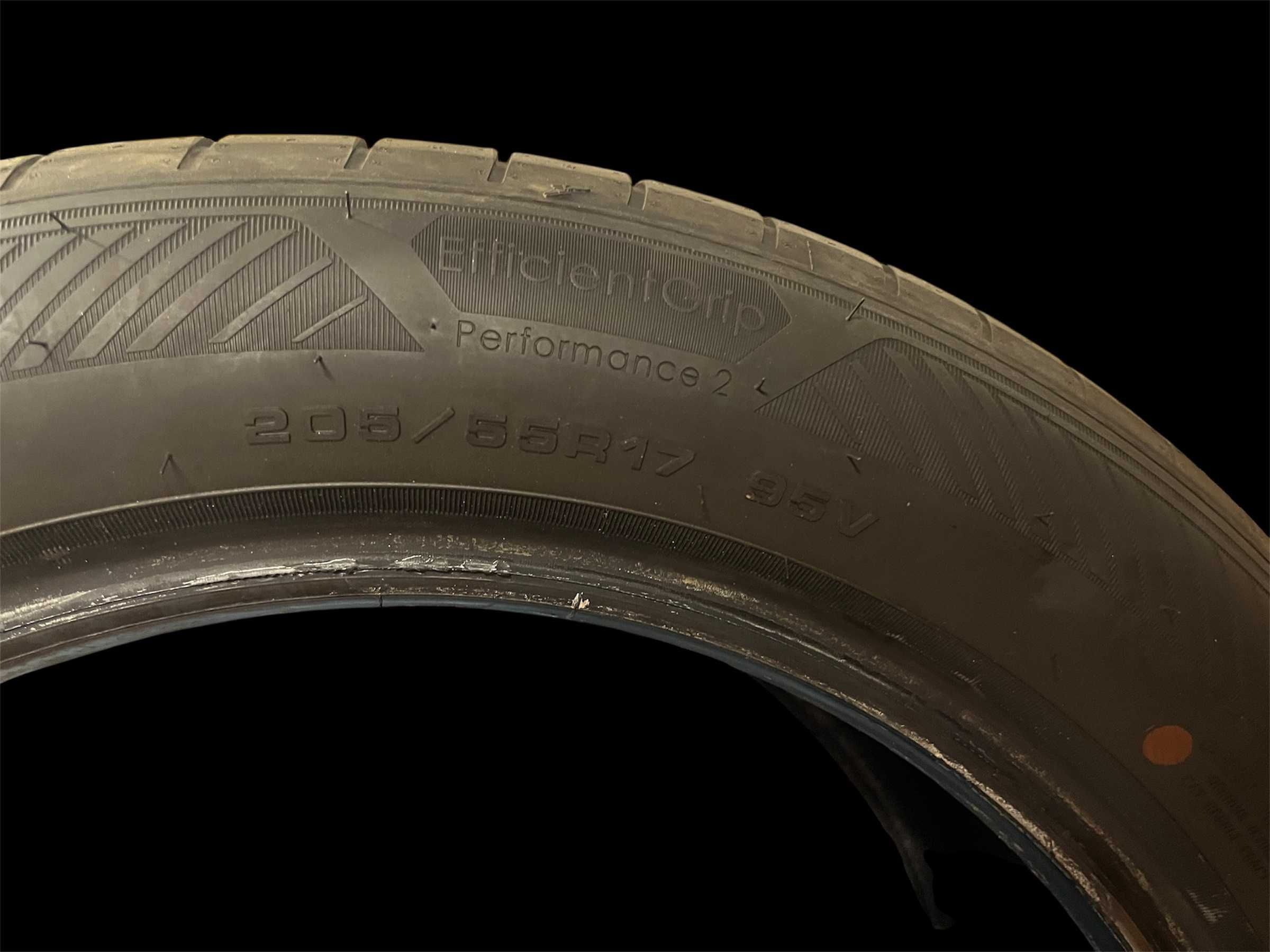 Goodyear Efficientgrip Performance 2 205/55 R17 95V 4 szt. data 1225