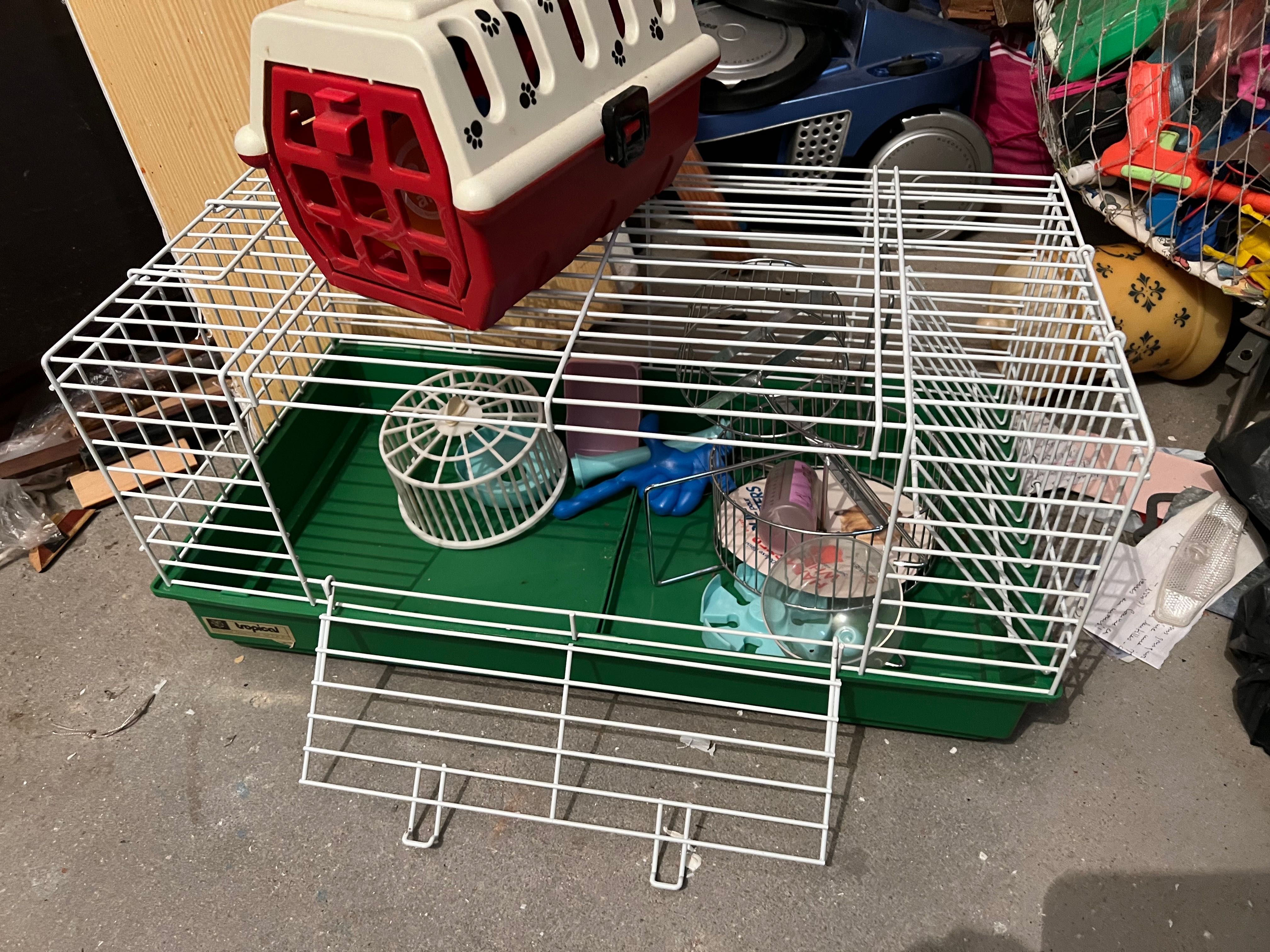 Gaila usada hamster rato, mais caixa de transporte