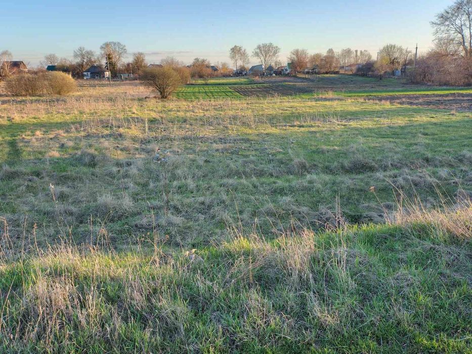 Продам земельну ділянку