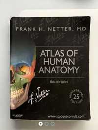 Netter: Atlas of Human Anatomy, 6 edição