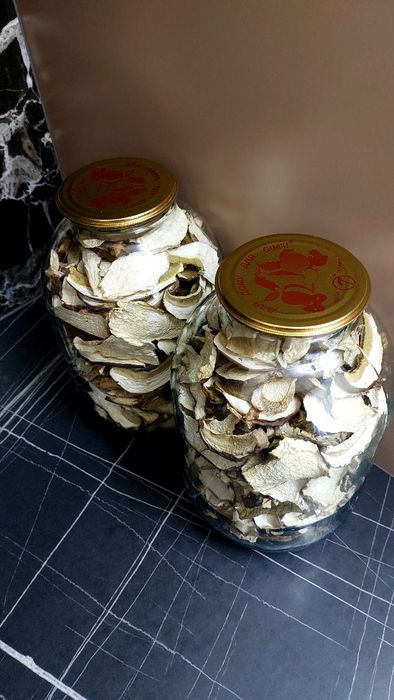 Сухі білі грибочки