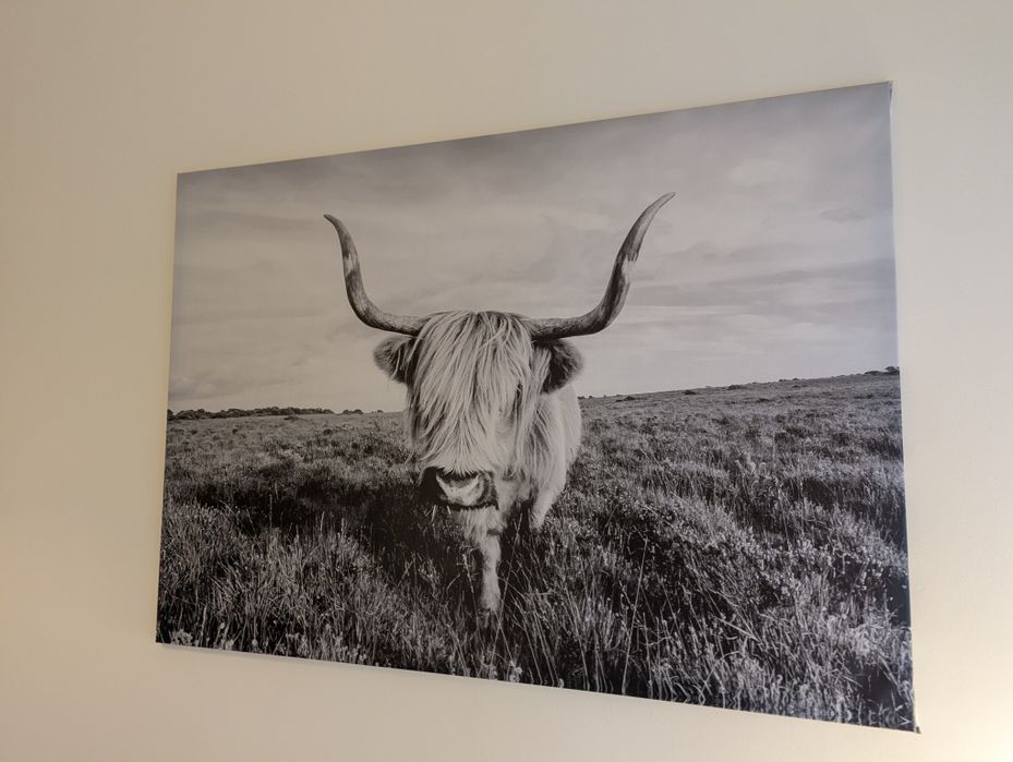 Tela com Moldura Vaca IKEA bjorksta