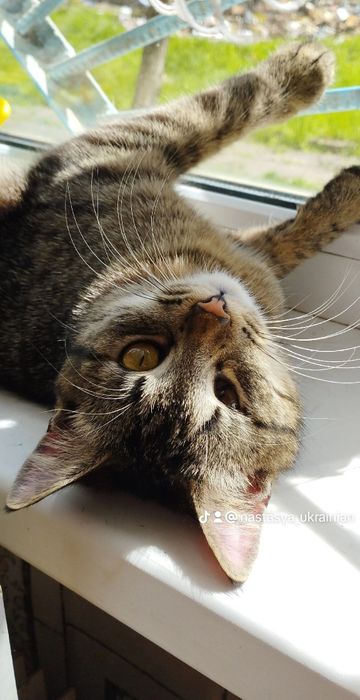 !Терміново! Пропав друг $ВИНАГОРОДА$