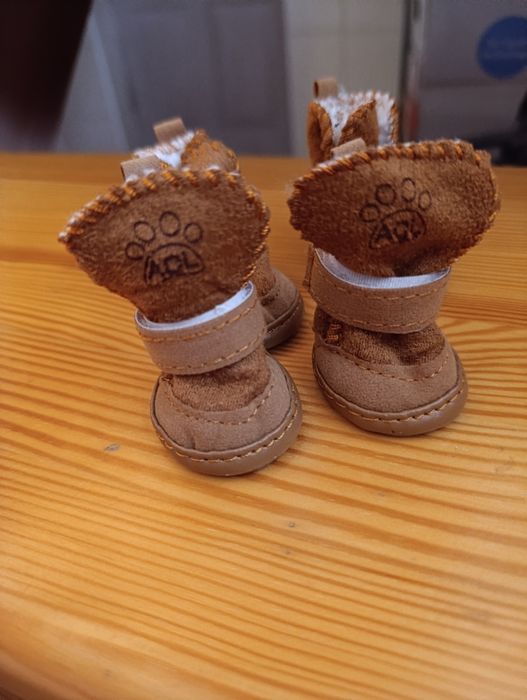 Взуття для собаки