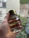 Zara Gold Oddity