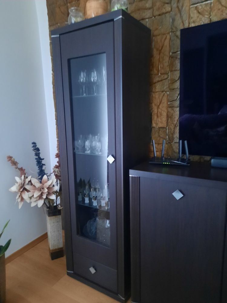 Meble do salonu koloru ciemnego