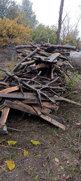 Drewno ,chrust gałęzie