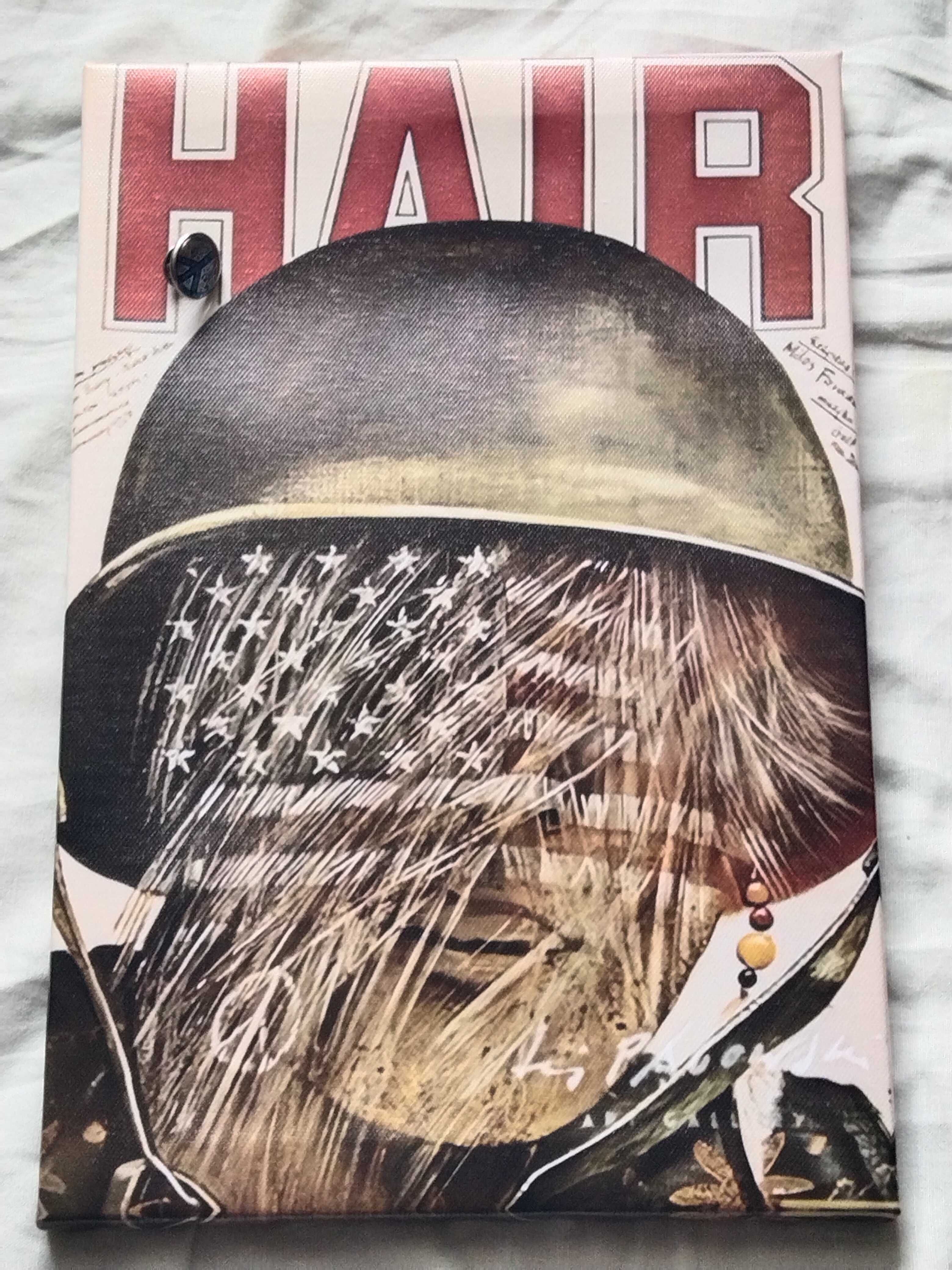 Hair , plakat / przypinka .