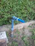Szpilki wodne , hydrofory