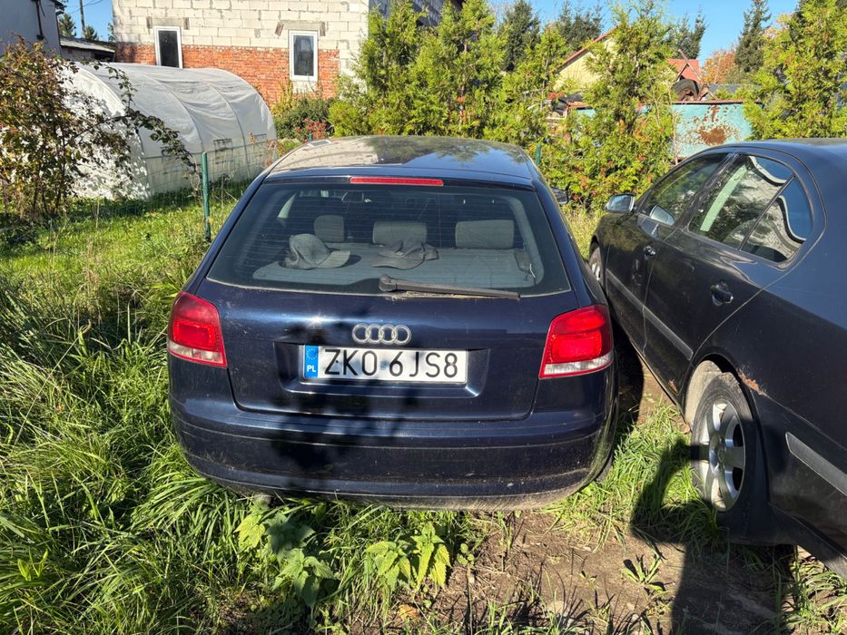 Audi a3 8p 2003 rok 2.0 tdi