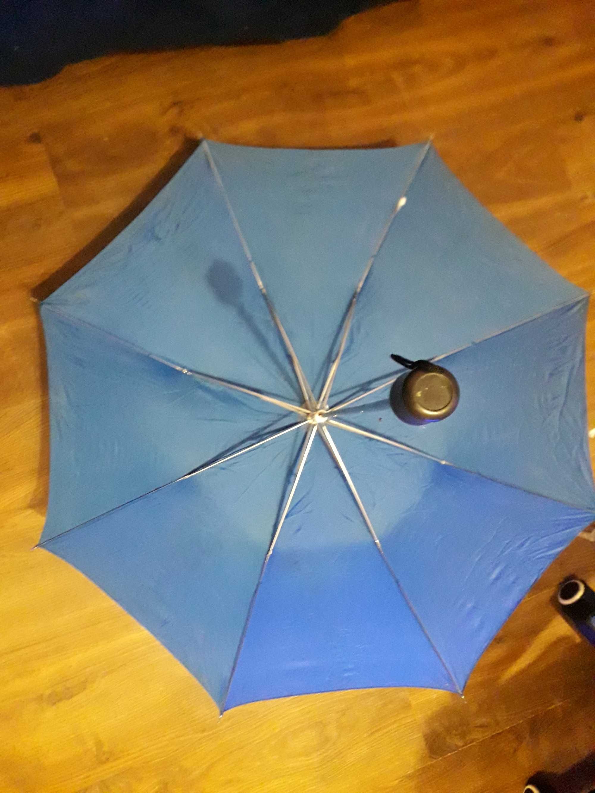 Parasolka niebieska