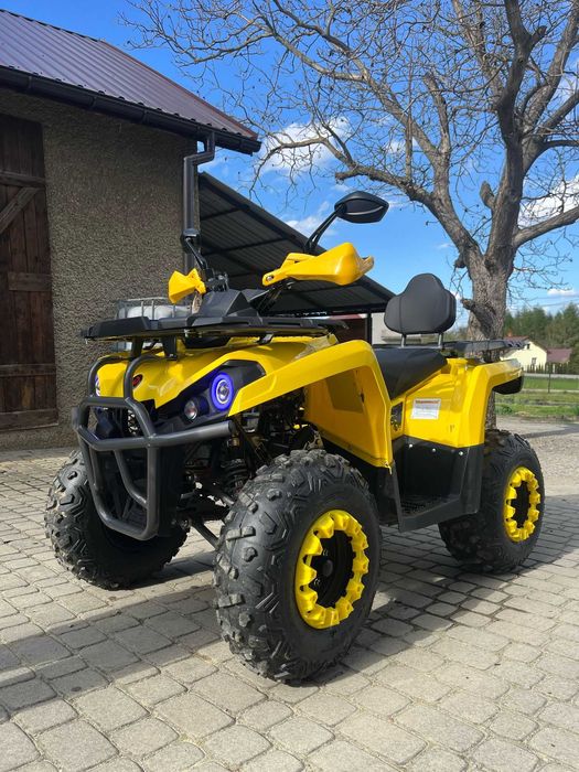 Diabolini Sharmax XXL