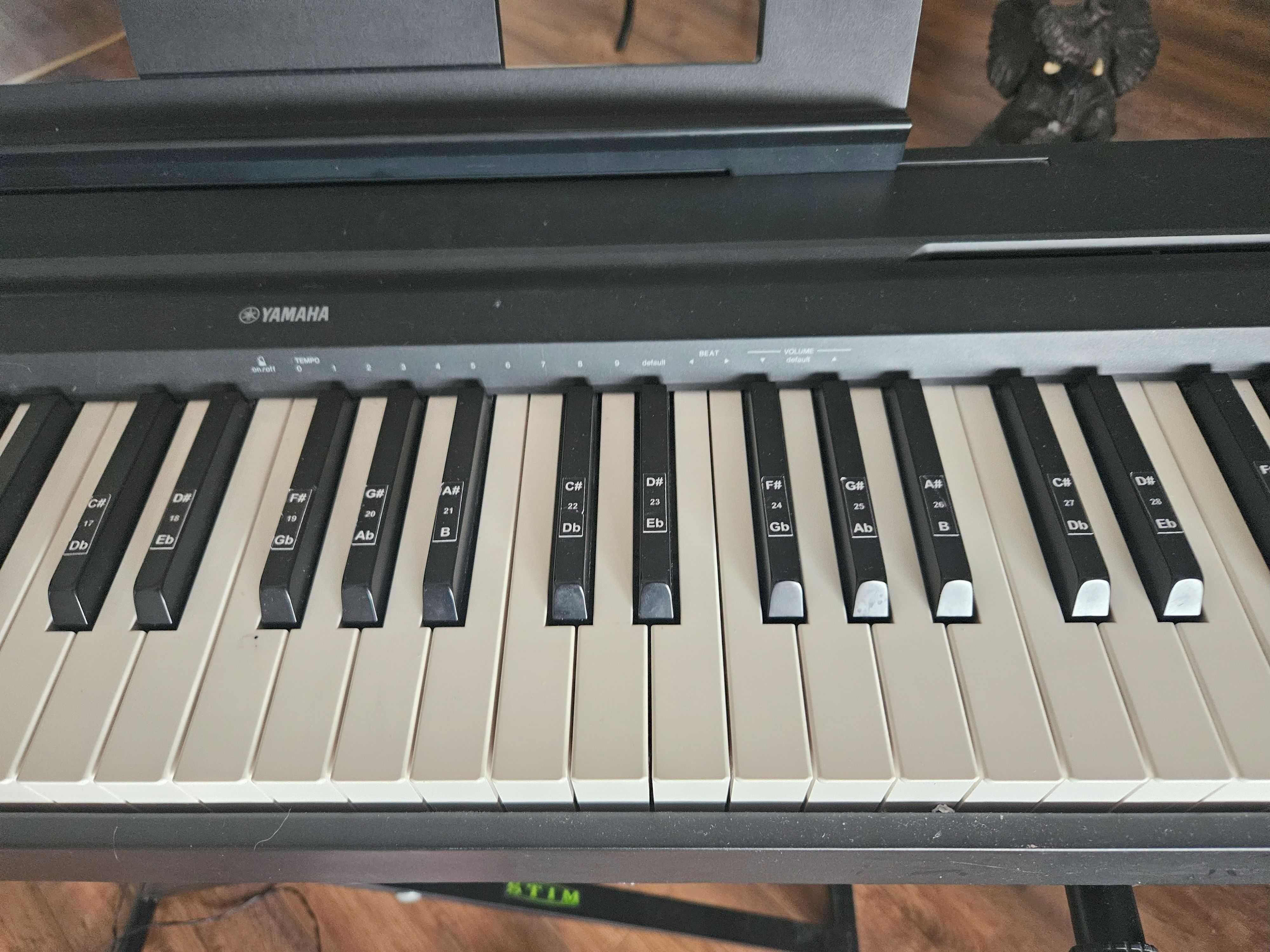 Pianino cyfrowe Yamaha P-45 pełna ważona klawiatura + Stojak